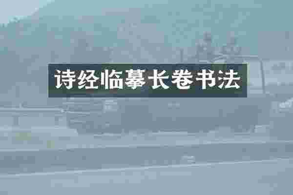 诗经临摹长卷书法