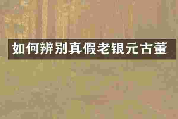 如何辨别真假老银元古董