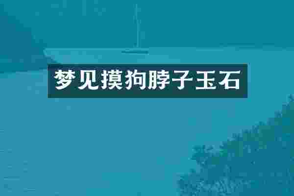 梦见摸狗脖子玉石