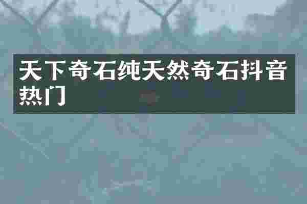 天下奇石纯天然奇石抖音热门