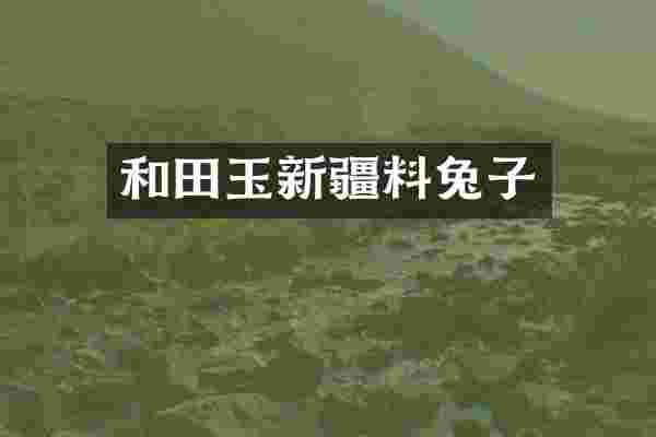和田玉新疆料兔子