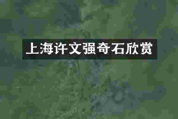 上海许文强奇石欣赏