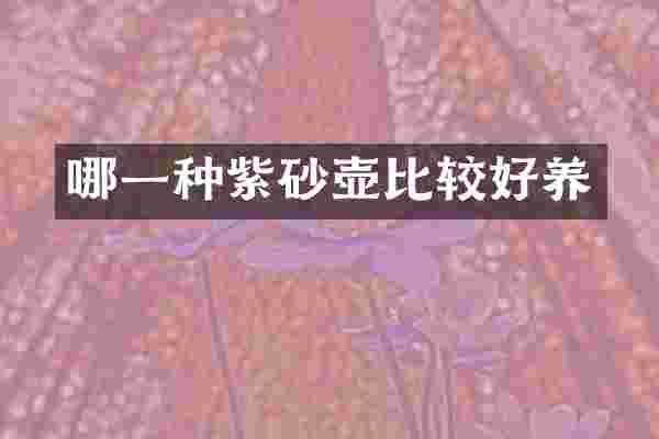 哪一种紫砂壶比较好养