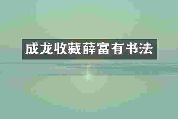 成龙收藏薛富有书法