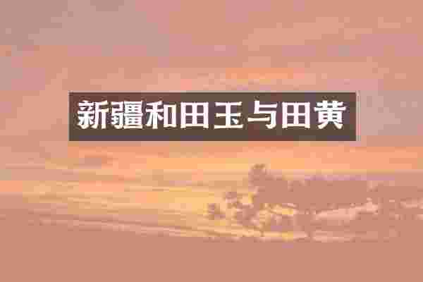 新疆和田玉与田黄