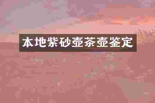 本地紫砂壶茶壶鉴定