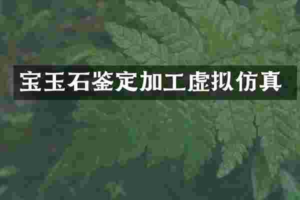 宝玉石鉴定加工虚拟仿真