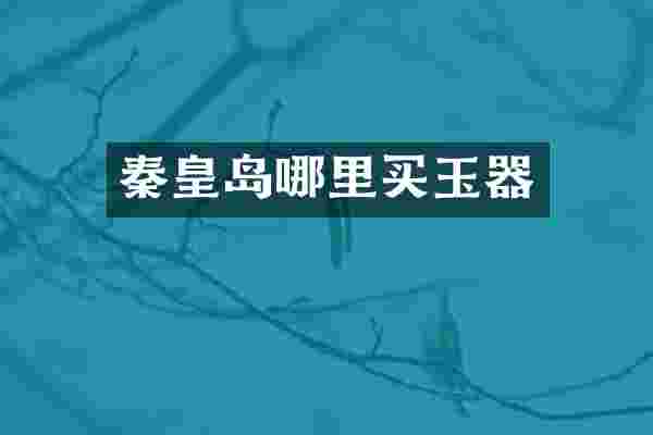 秦皇岛哪里买玉器