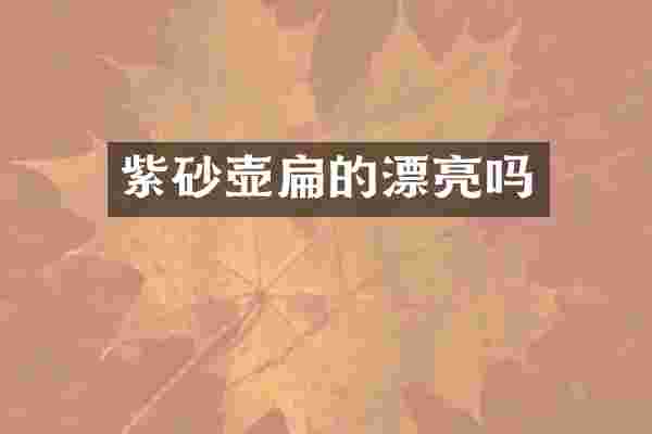 紫砂壶扁的漂亮吗