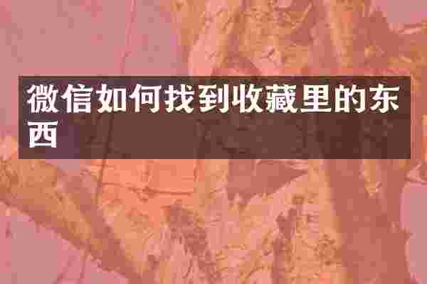 微信如何找到收藏里的东西