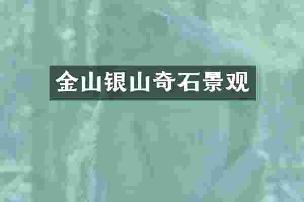 金山银山奇石景观