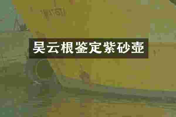 吴云根鉴定紫砂壶