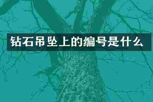钻石吊坠上的编号是什么