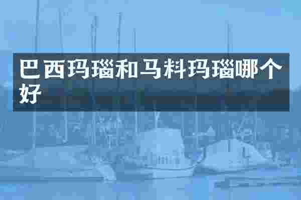 巴西玛瑙和马料玛瑙哪个好