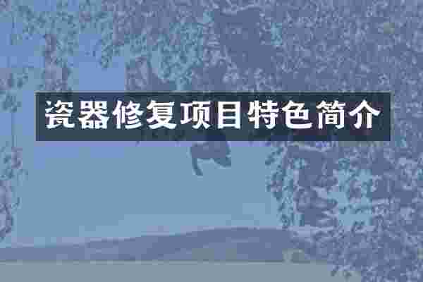瓷器修复项目特色简介
