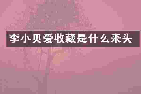 李小贝爱收藏是什么来头