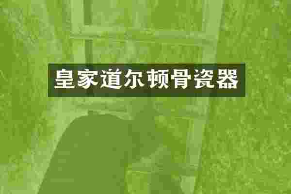 皇家道尔顿骨瓷器