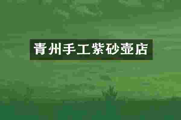 青州手工紫砂壶店
