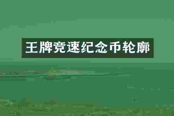 王牌竞速纪念币轮廓