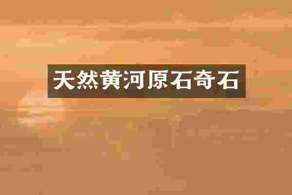 天然黄河原石奇石