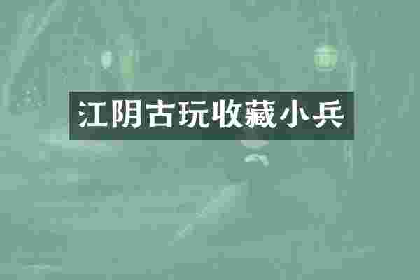 江阴古玩收藏小兵