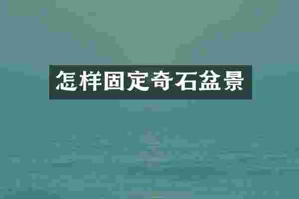 怎样固定奇石盆景