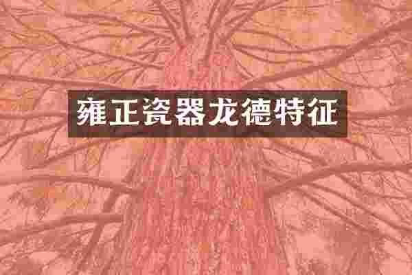 雍正瓷器龙德特征