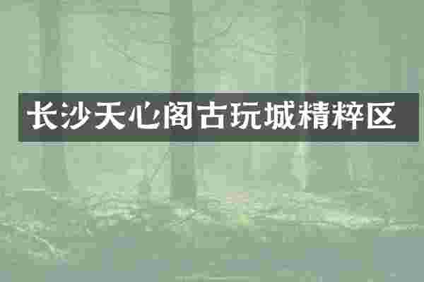 长沙天心阁古玩城精粹区