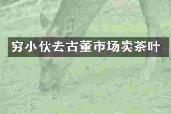 穷小伙去古董市场卖茶叶