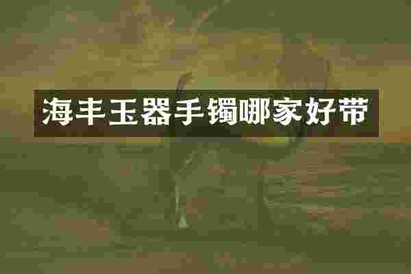 海丰玉器手镯哪家好带