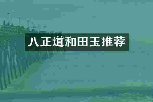 八正道和田玉推荐
