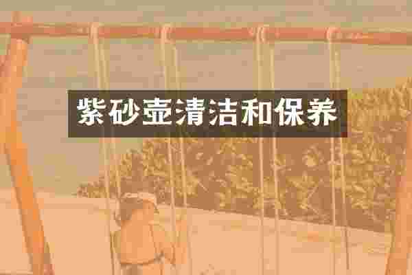 紫砂壶清洁和保养