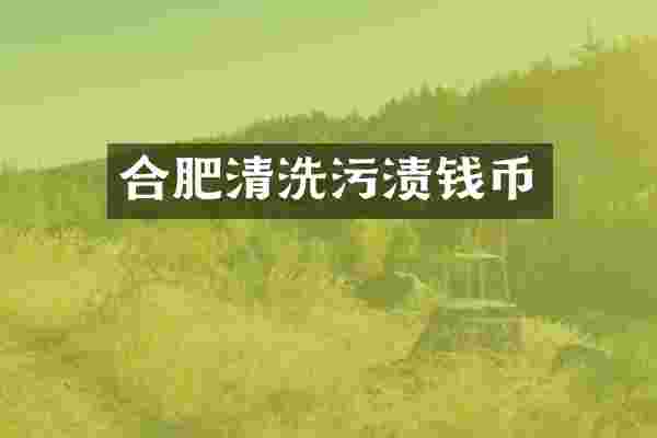 合肥清洗污渍钱币