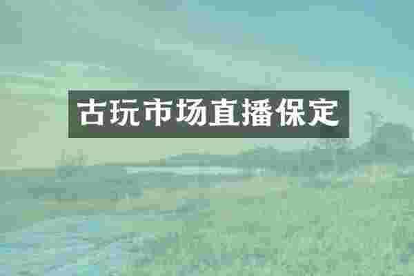 古玩市场直播保定