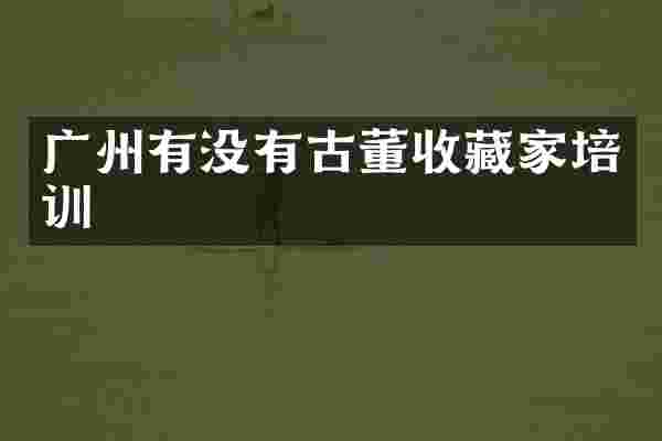 广州有没有古董收藏家培训