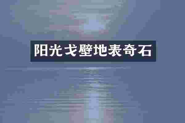 阳光戈壁地表奇石