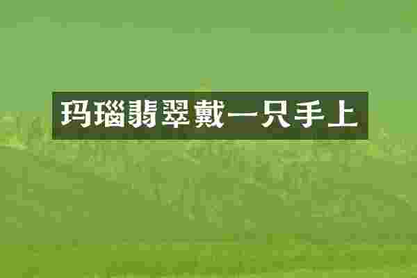 玛瑙翡翠戴一只手上