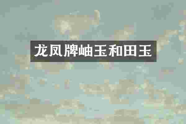 龙凤牌岫玉和田玉
