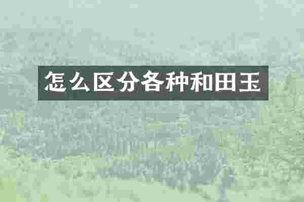 怎么区分各种和田玉