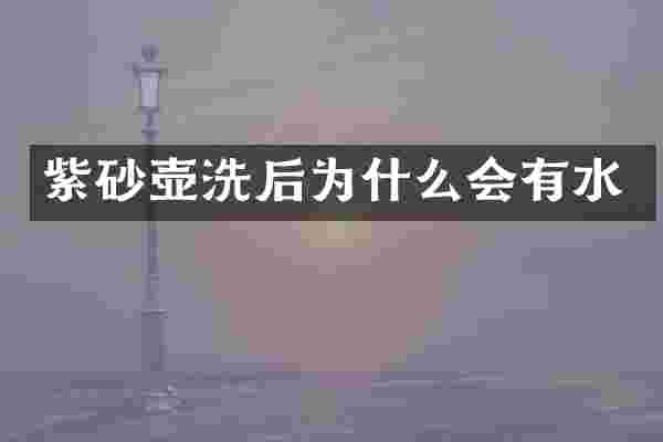 紫砂壶洗后为什么会有水