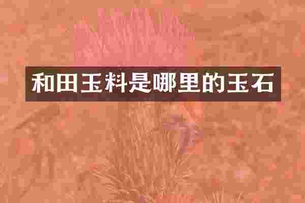 和田玉料是哪里的玉石