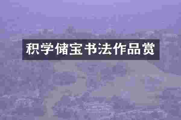 积学储宝书法作品赏