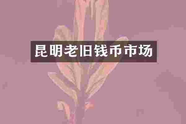 昆明老旧钱币市场
