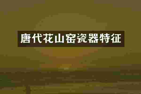 唐代花山窑瓷器特征