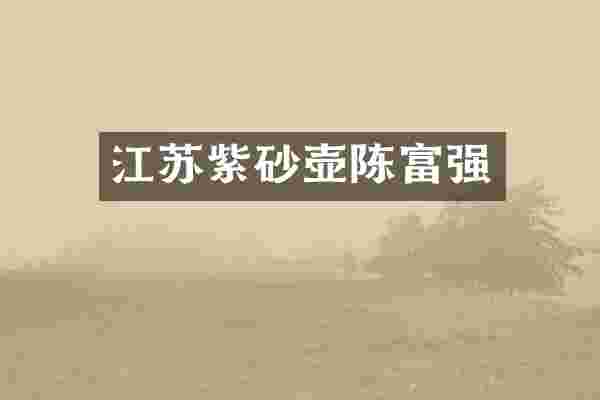 江苏紫砂壶陈富强