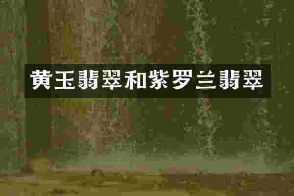 黄玉翡翠和紫罗兰翡翠