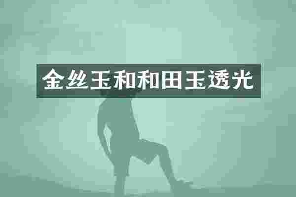 金丝玉和和田玉透光