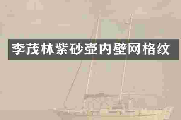 李茂林紫砂壶内壁网格纹