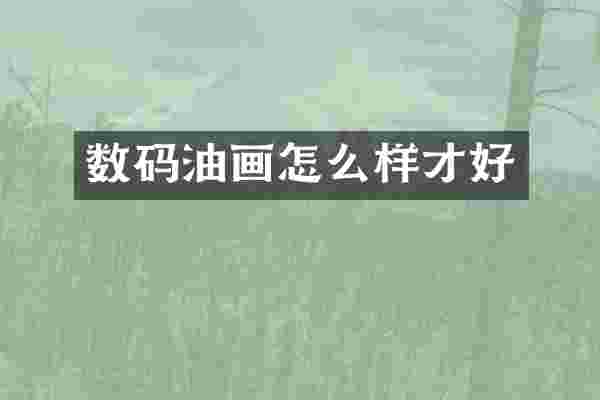数码油画怎么样才好