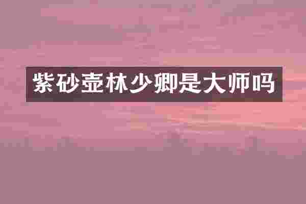 紫砂壶林少卿是大师吗